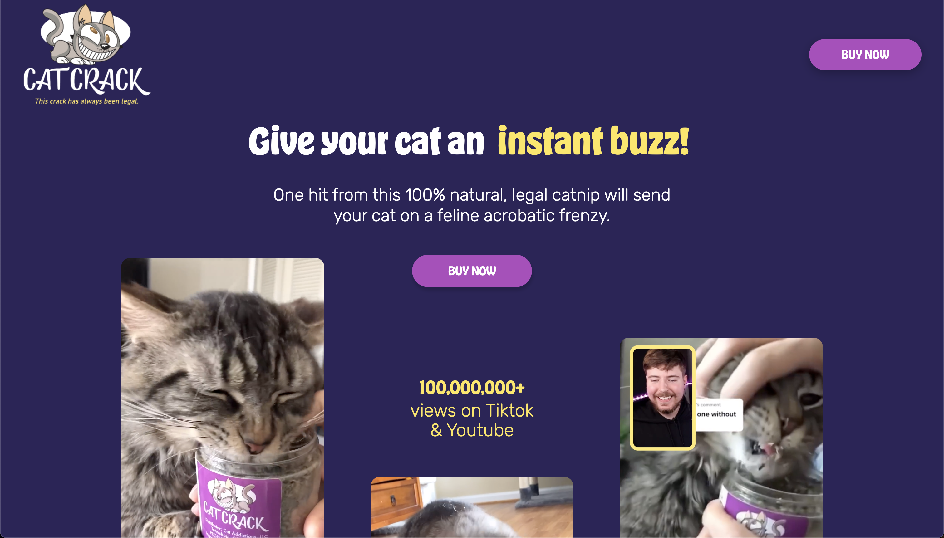 Cat Crack